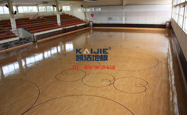 2018新運(yùn)動(dòng)木地板公司品牌——?jiǎng)P潔體育地板